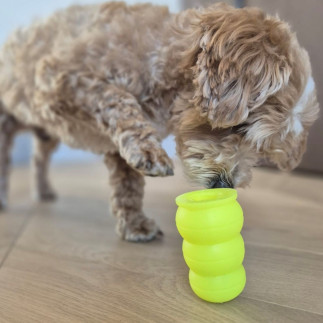 Scented treat-dispensing dog toy