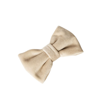 Velvet beige bow for dog VELVET