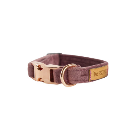 Velvet collar purple VELVET