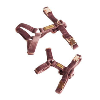 Velvet harness VELVET purple