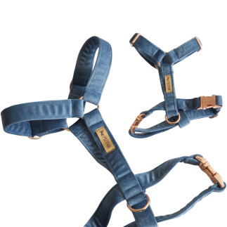Velvet harness VELVET blue