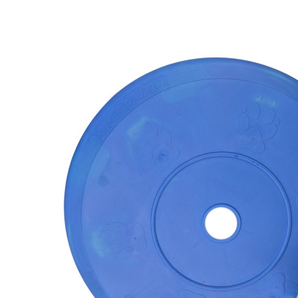 Scented disc 25 cm LUMI