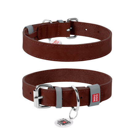 Leather collar WAUDOG brown