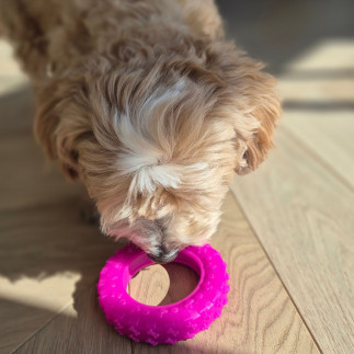 Scented tire-shaped dog toy LUMI S