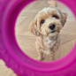 Scented rubber toy tire pink S LUMI