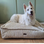 Dog cushion beige PLUSH