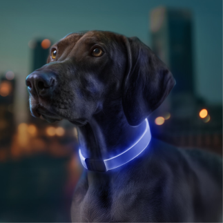 Obroża z podświetleniem 60 x 2,5 cm uniwersalna WAUDOG LED